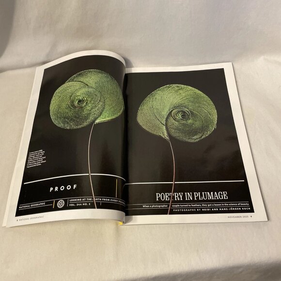 National Geographic November 2023 Carbon Solutions Rare Lava Lake Orcas Hispanic - Picture 4 of 11